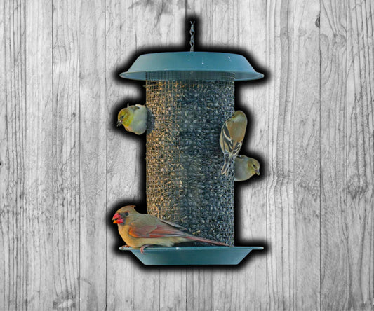 Audubon Plastic Magnum® Sunflower Screen Feeder