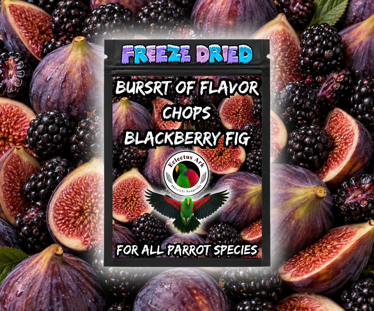 Blackberry Fig Burst of Flavor Freeze-Dried Chop made with all-natural fruits and vegetables including carrots, broccoli, kale, apples, bananas, blackberries, and Condria figs for Eclectus, macaws, cockatoos, conures, African Greys, Amazons, cockatiels, parakeets, lovebirds, budgies, and all parrot species. Product Bag