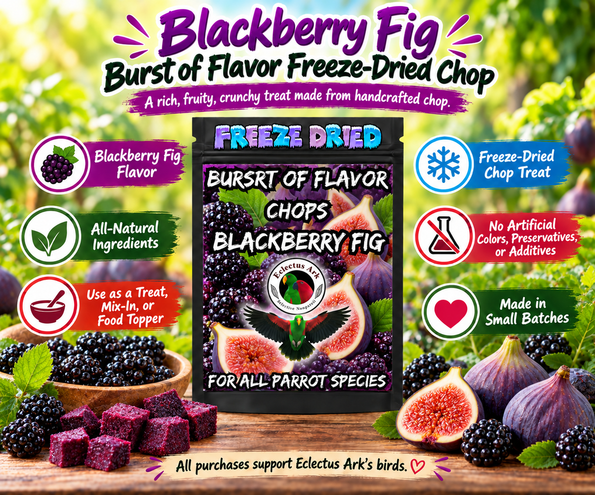 Blackberry Fig Burst of Flavor Freeze-Dried Chop made with all-natural fruits and vegetables including carrots, broccoli, kale, apples, bananas, blackberries, and Condria figs for Eclectus, macaws, cockatoos, conures, African Greys, Amazons, cockatiels, parakeets, lovebirds, budgies, and all parrot species. Promo1