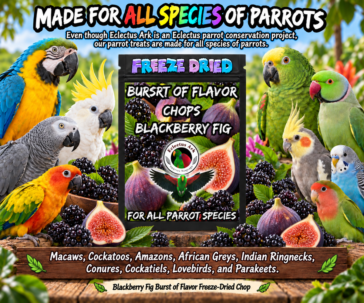 Blackberry Fig Burst of Flavor Freeze-Dried Chop made with all-natural fruits and vegetables including carrots, broccoli, kale, apples, bananas, blackberries, and Condria figs for Eclectus, macaws, cockatoos, conures, African Greys, Amazons, cockatiels, parakeets, lovebirds, budgies, and all parrot species. Promo 2