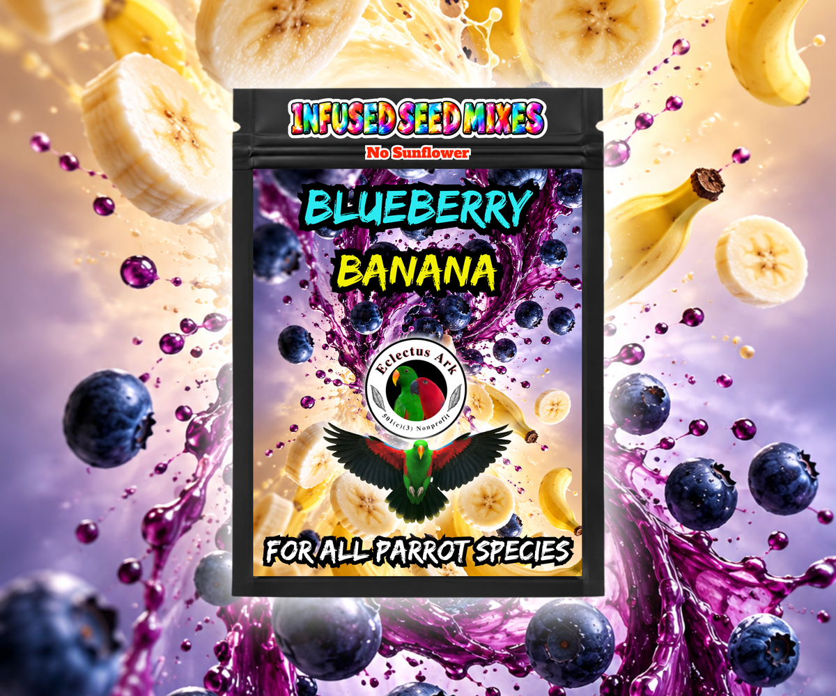 Infused Seeds - No Sunflower - Pick Your Flavor