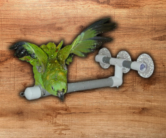 Pollys Window & Shower Perch