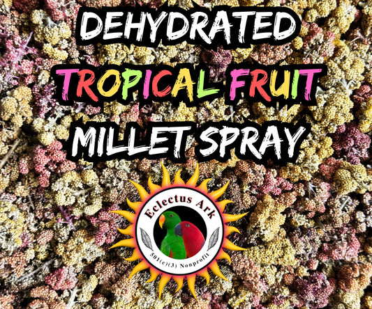 Dehydrated Tropical Fruit Millet Spray