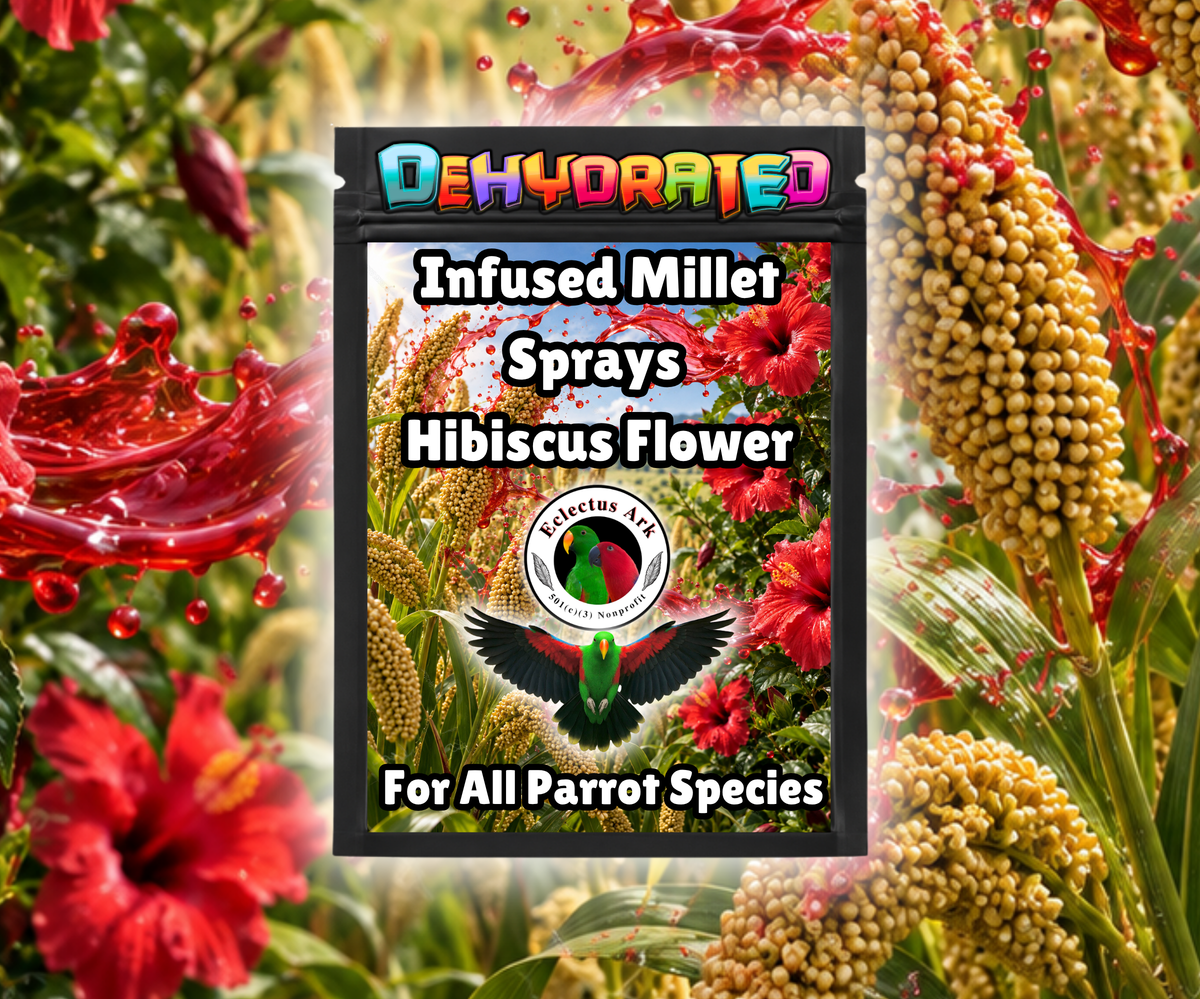 Dehydrated Infused Millet Sprays bird treats made with premium millet sprays, infused with choose-your-flavor options, and dehydrated for crunchy enrichment, foraging, training, and rewards. Flavor - Hibiscus Flower - Product Photo