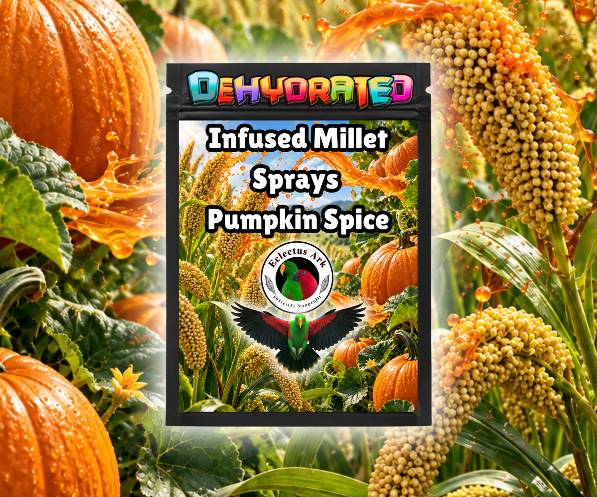 Dehydrated Infused Millet Sprays bird treats made with premium millet sprays, infused with choose-your-flavor options, and dehydrated for crunchy enrichment, foraging, training, and rewards. Flavor - Pumpkin Spice - Product Photo