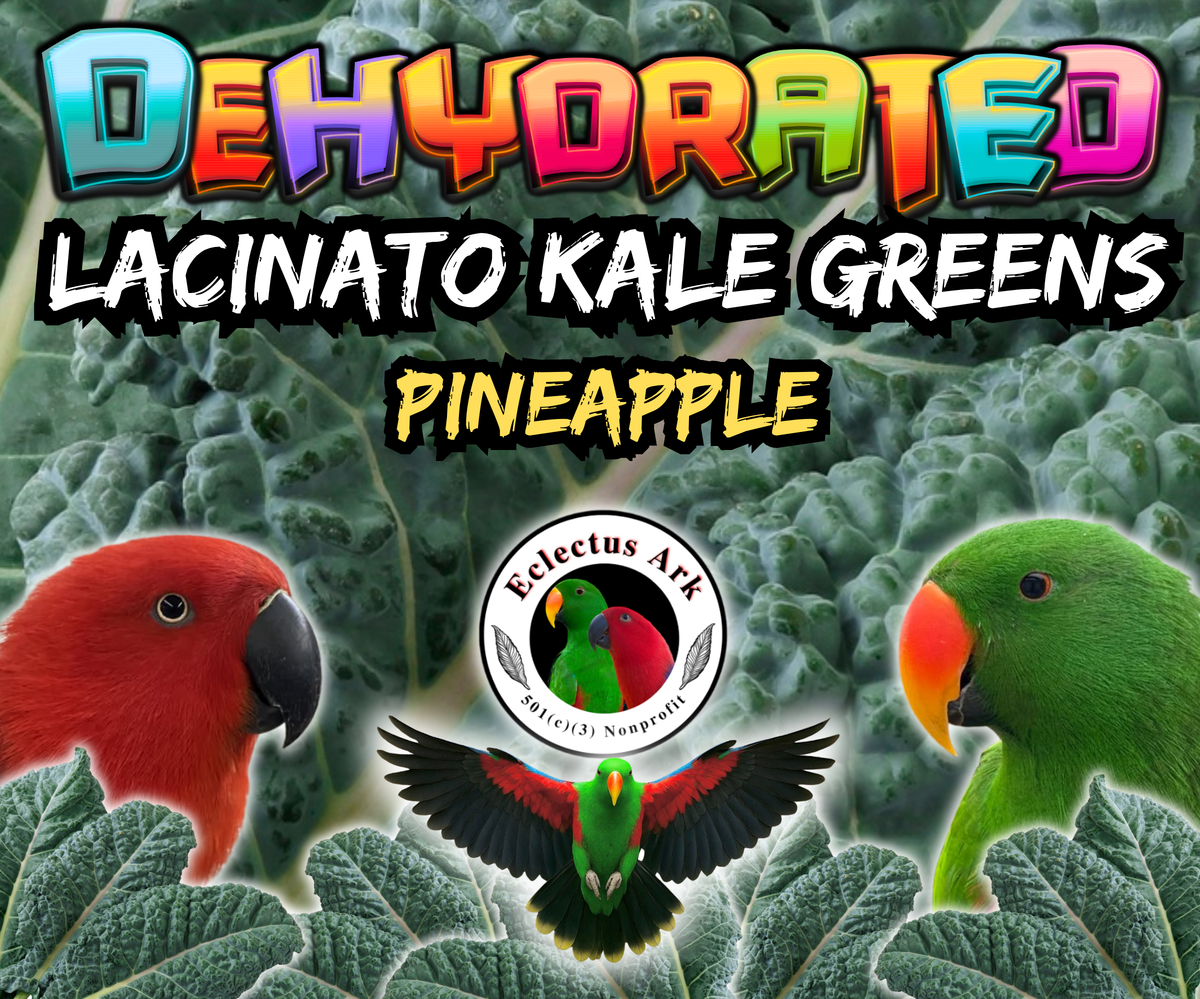 Dehdrated Lacinato Kale Greens - Choose Your Flavor