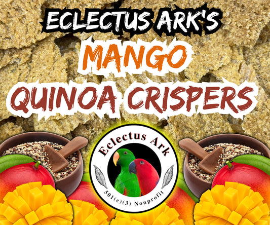 Dehydrated quinoa crispers with Mango made for parrots by Eclectus Ark