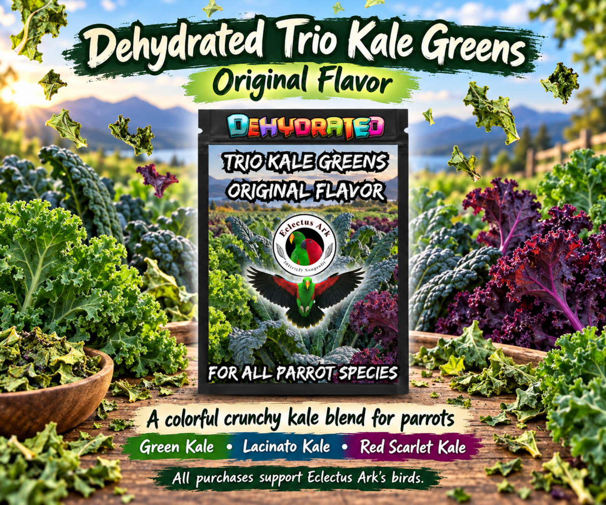 Dehydrated Trio Kale Greens parrot treat made with Green Kale, Lacinato Kale, and Red Scarlet Kale, thoroughly washed and dehydrated into crisp crunchy pieces for mixing into seeds, pellets, fresh foods, chop, or serving as a topper. Choose Your Flavor(s) Promotional Image 2