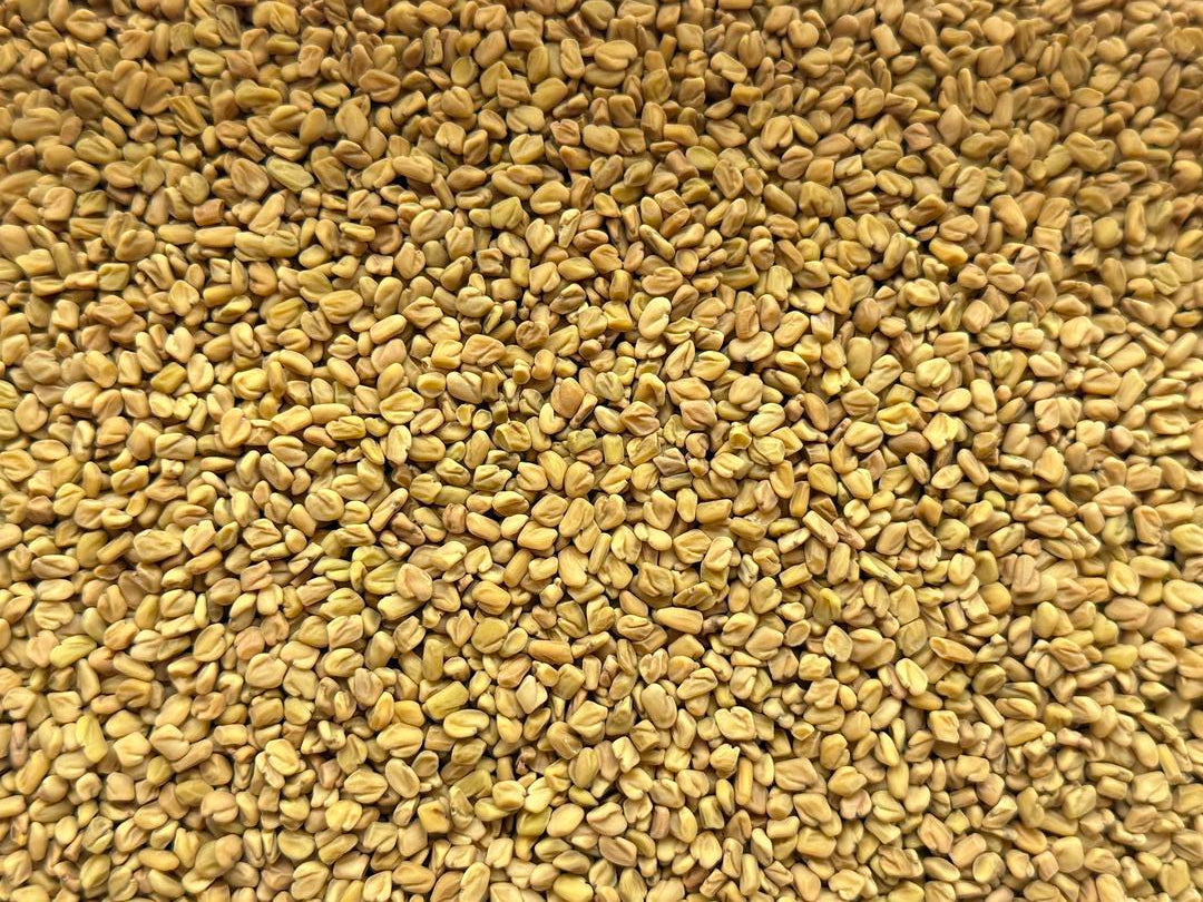  Eclectus Ark fenugreek seeds for parrots – soak, sprout, or use as a food topper