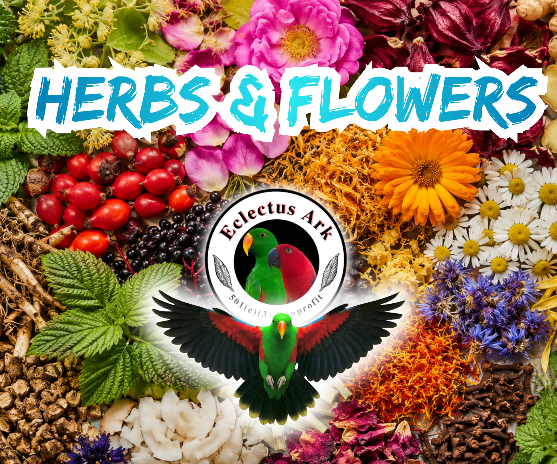 Natural flowers and herbs blend food topper for parrots and companion birds used to enhance chop pellets sprouts and seed mixes