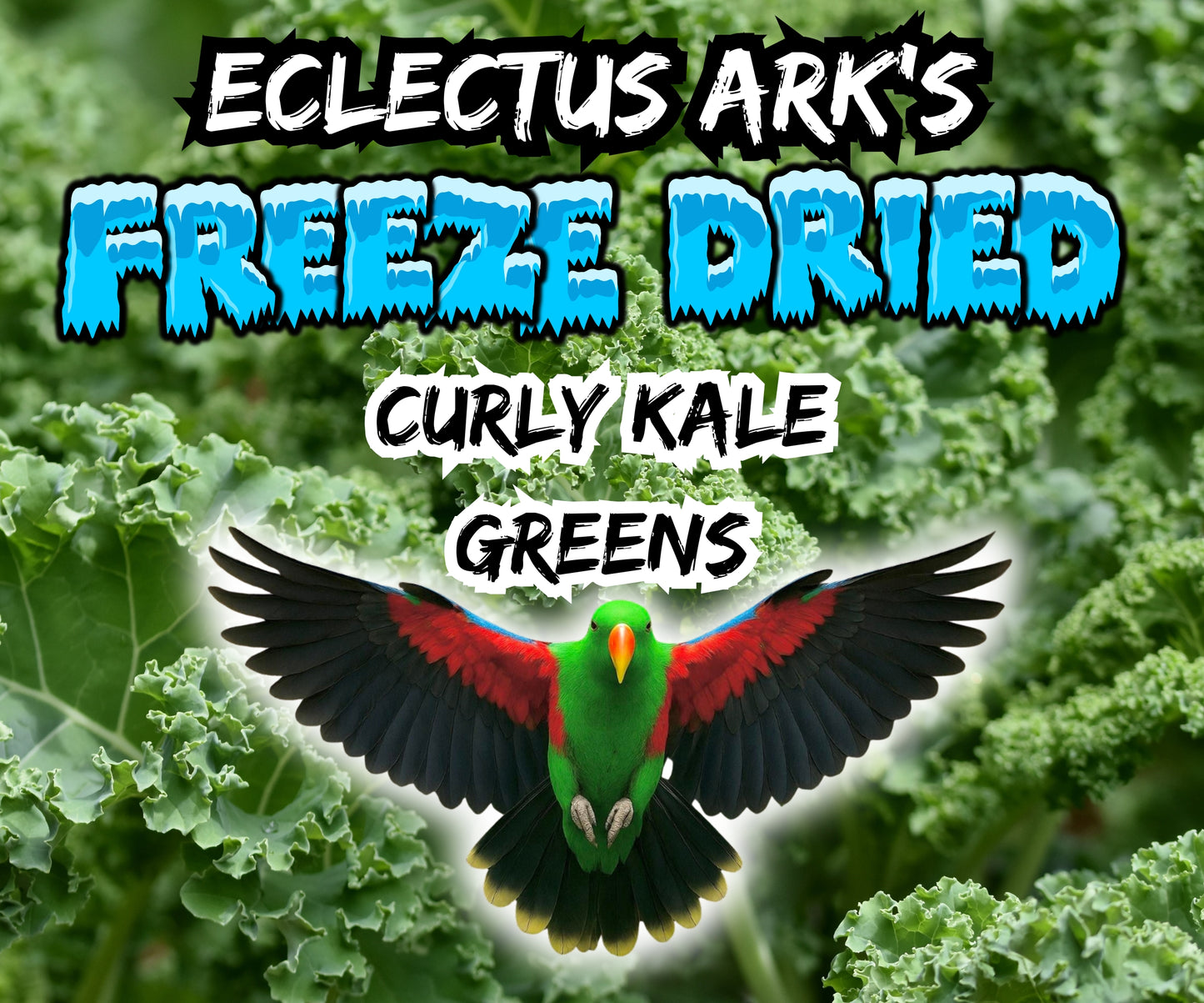 Freeze Dried Greens - Curly Kale