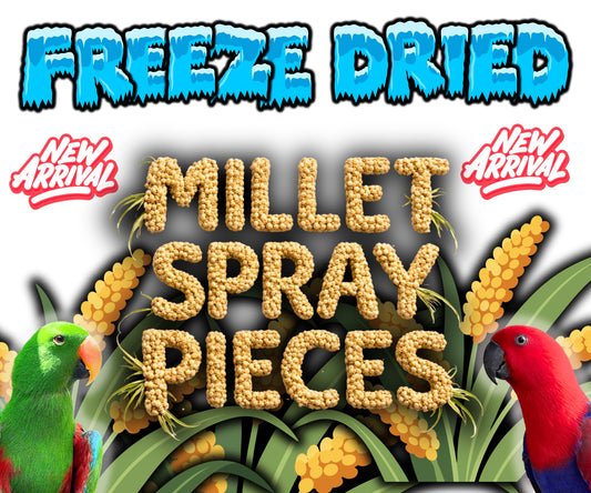 Freeze Dried Millet Spray Pieces