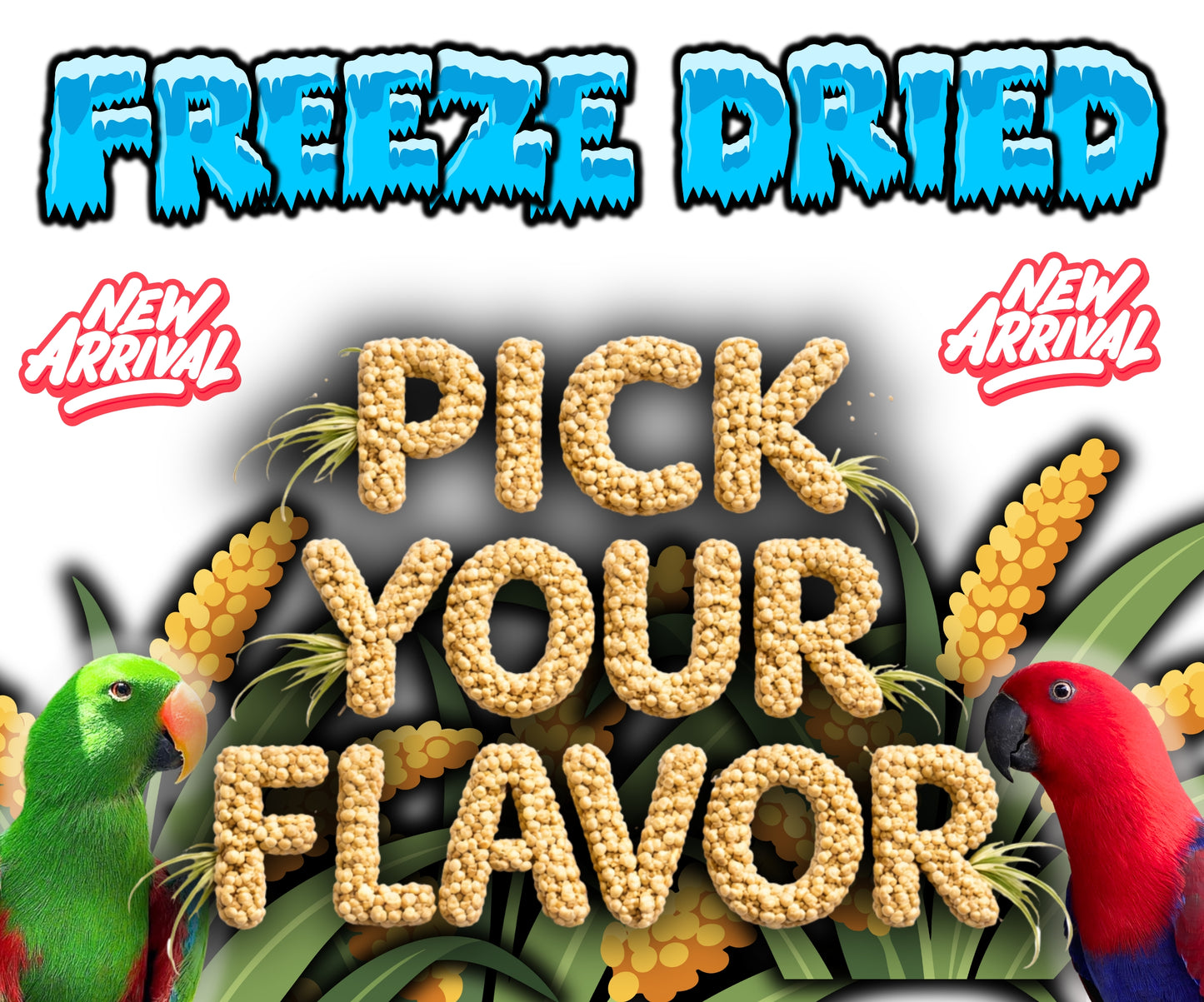 Freeze Dried Millet Spray Pieces