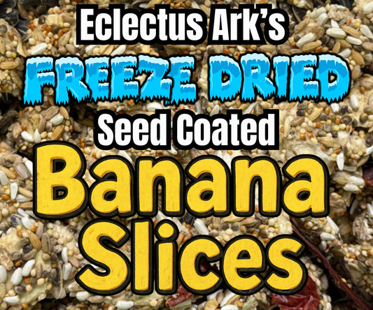 Freeze Dried Seed Coated Banana Slices