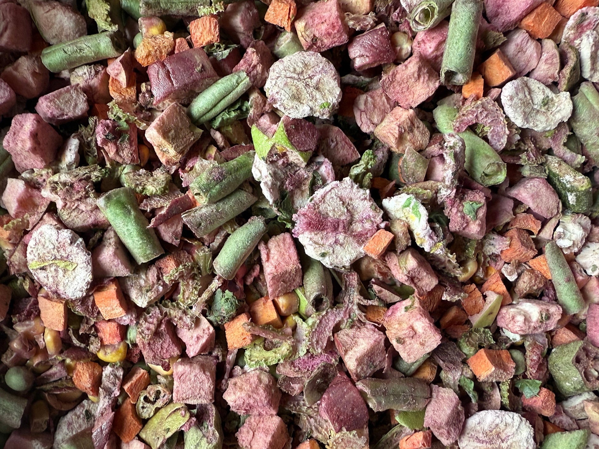 Close Up of Freeze Dried Battered Chops Cranberry Beet Chop