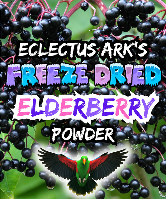 Freeze Dried Elderberry Powder