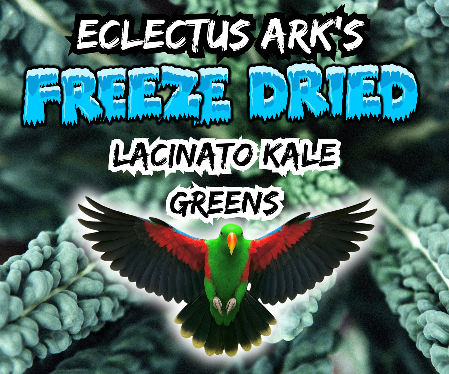 Freeze Dried Greens - Lacinato Kale