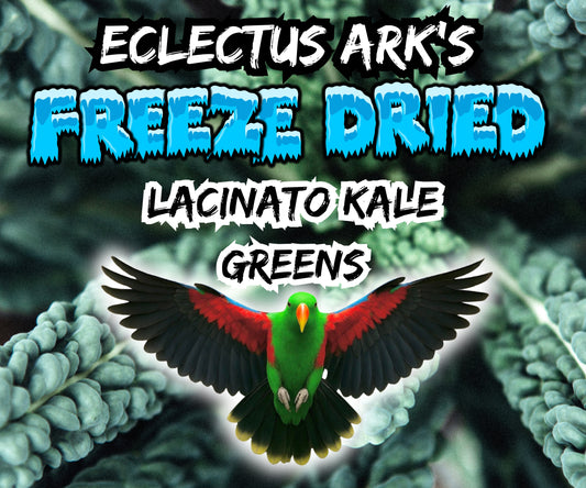 Freeze Dried Greens - Lacinato Kale