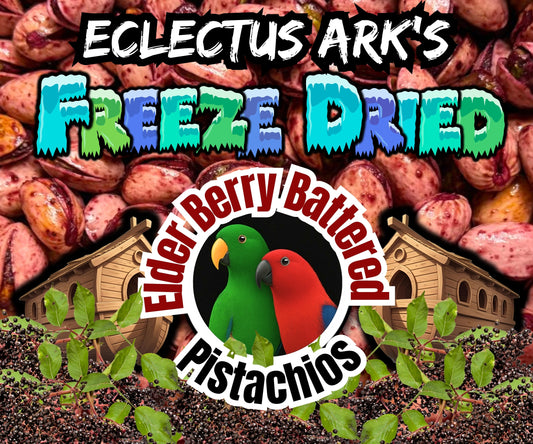 Freeze dried pistachios coated in elderberry puree, vibrant purple crunchy parrot treat handmade by Eclectus Ark
