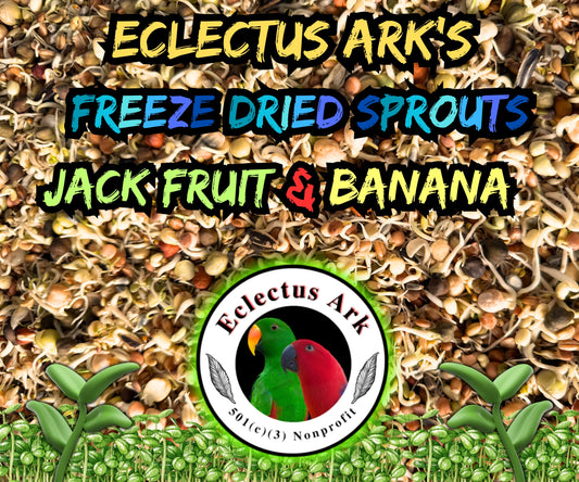 Freeze Dried Sprouts Jackfruit & Banana
