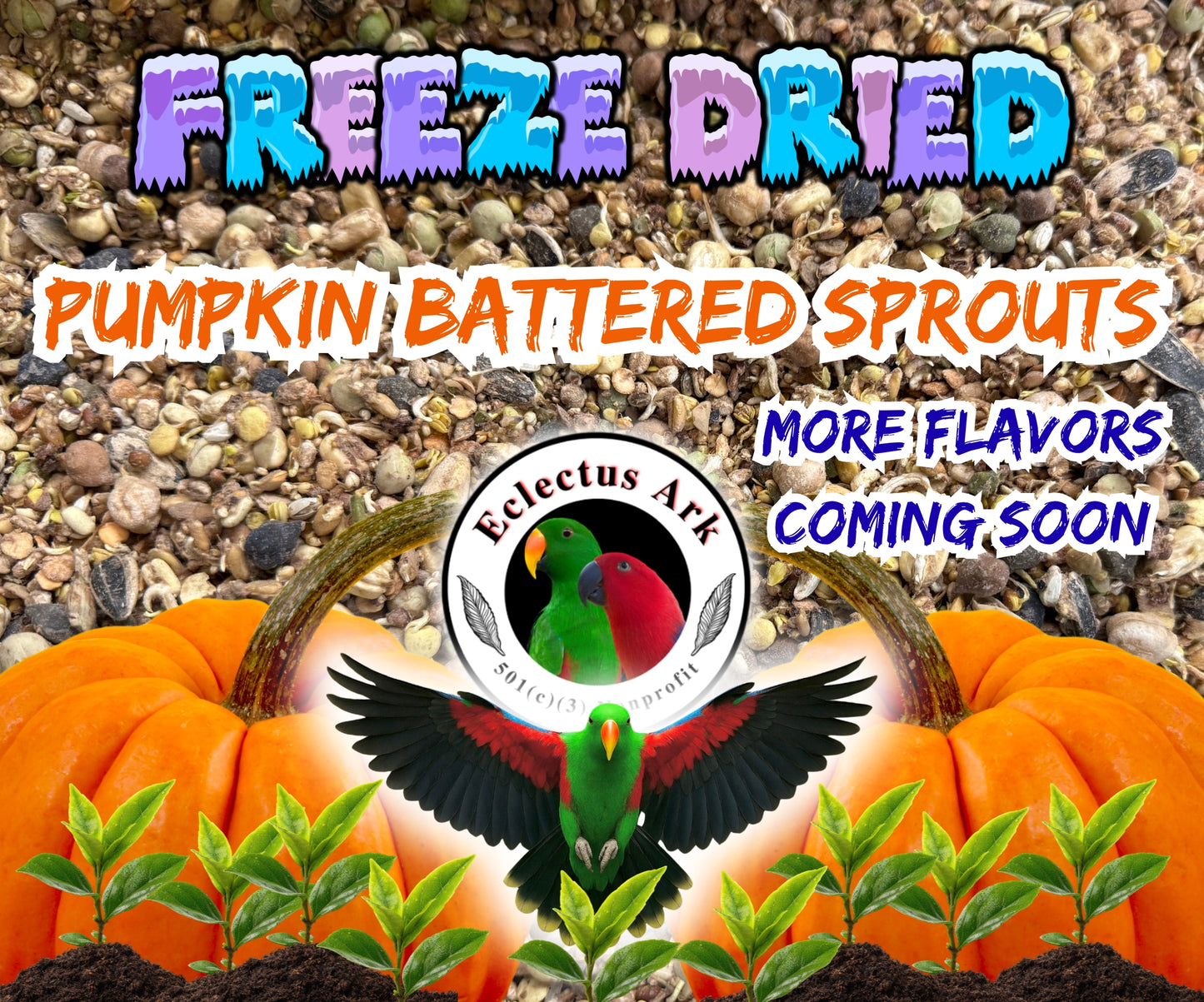 Freeze dried sprouts mix with pumpkin coating for parrots, colorful seed and grain blend for enrichment feeding and foraging
