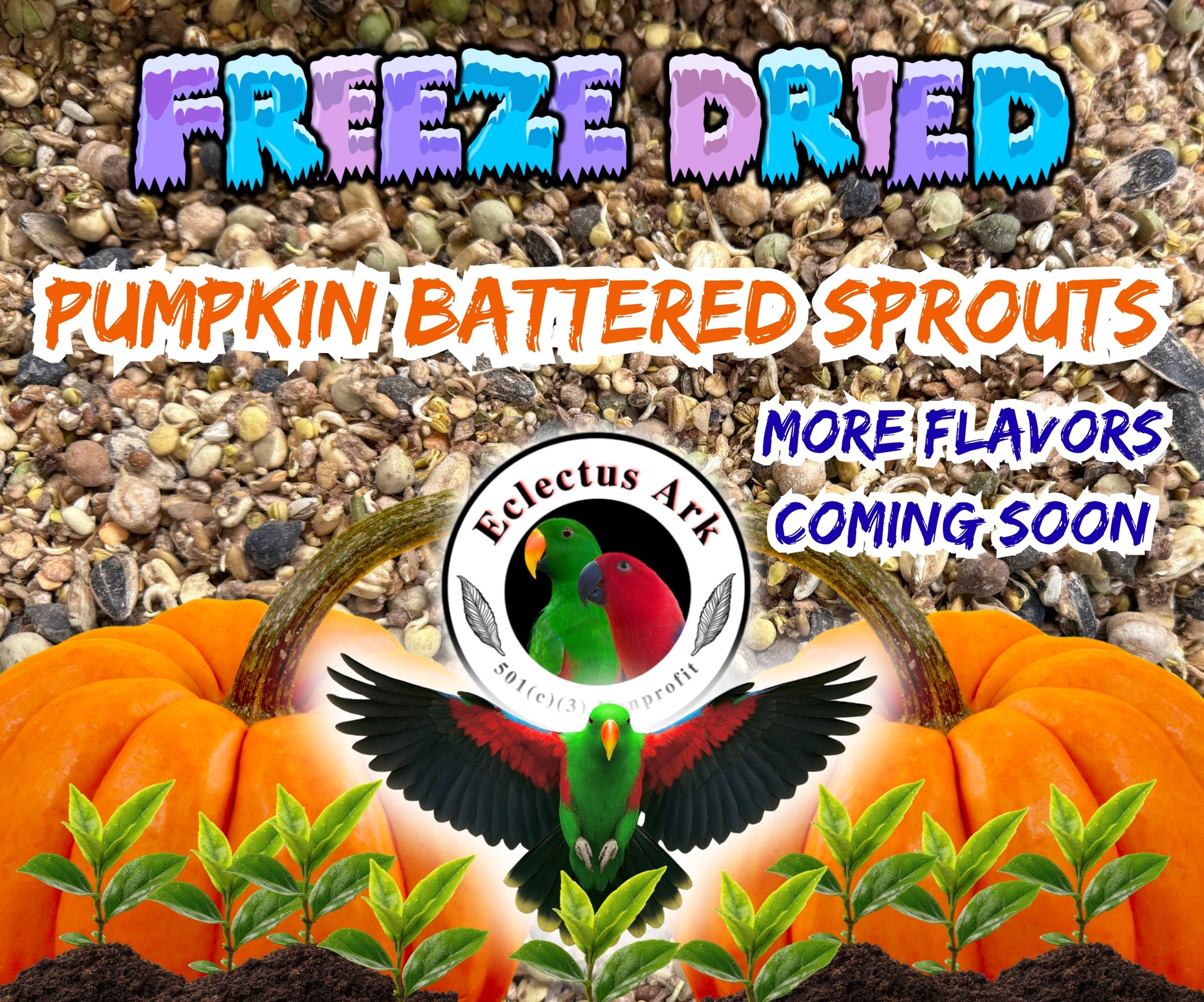 Freeze dried sprouts mix with pumpkin coating for parrots, colorful seed and grain blend for enrichment feeding and foraging