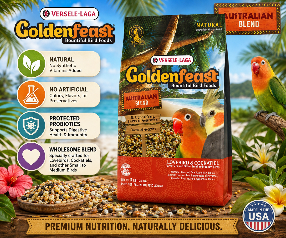 Goldenfeast Australian Blend Natural Small Bird Food with white millet, cashews, roasted soybeans, oats, almonds, walnuts, flaxseed, papaya, pineapple, dates, green peas, beets, apricots, chamomile, parsley flakes, and protected probiotics for cockatiels, lovebirds, budgies, canaries, finches, and small to medium birds. 3 lb bag Promotional Image