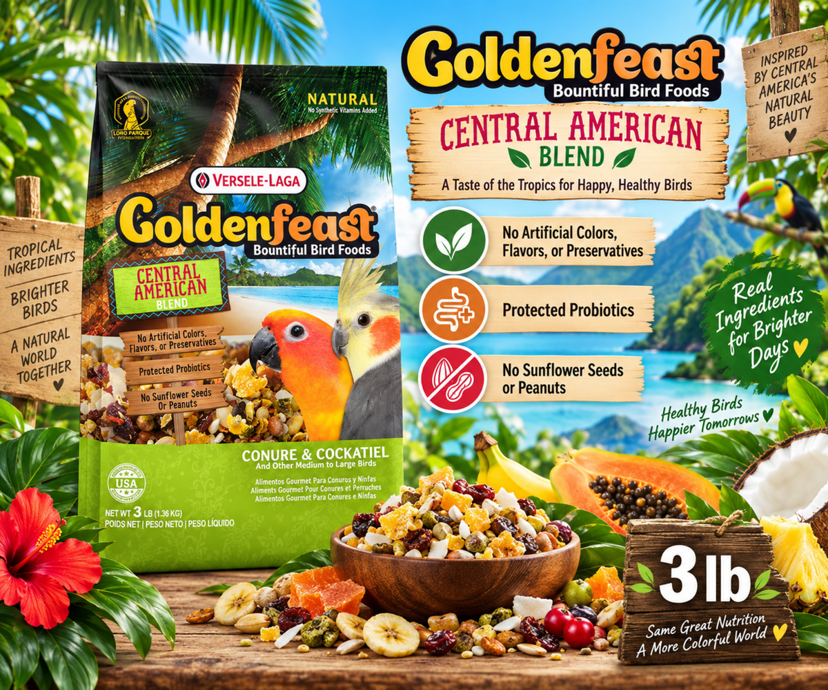 Goldenfeast Central American Blend Natural Bird Food with safflower, oats, buckwheat, cranberries, roasted soybeans, pumpkin seeds, carrots, cashews, coconut, roasted garbanzo beans, mango, pineapple, beets, walnuts, broccoli, apricots, cherries, black beans, sweet peppers, green peas, dates, blueberries, hazelnuts, pinto beans, and protected probiotics for conures, cockatiels, parrots, and medium to large birds. 3 lb bag Promotional Image