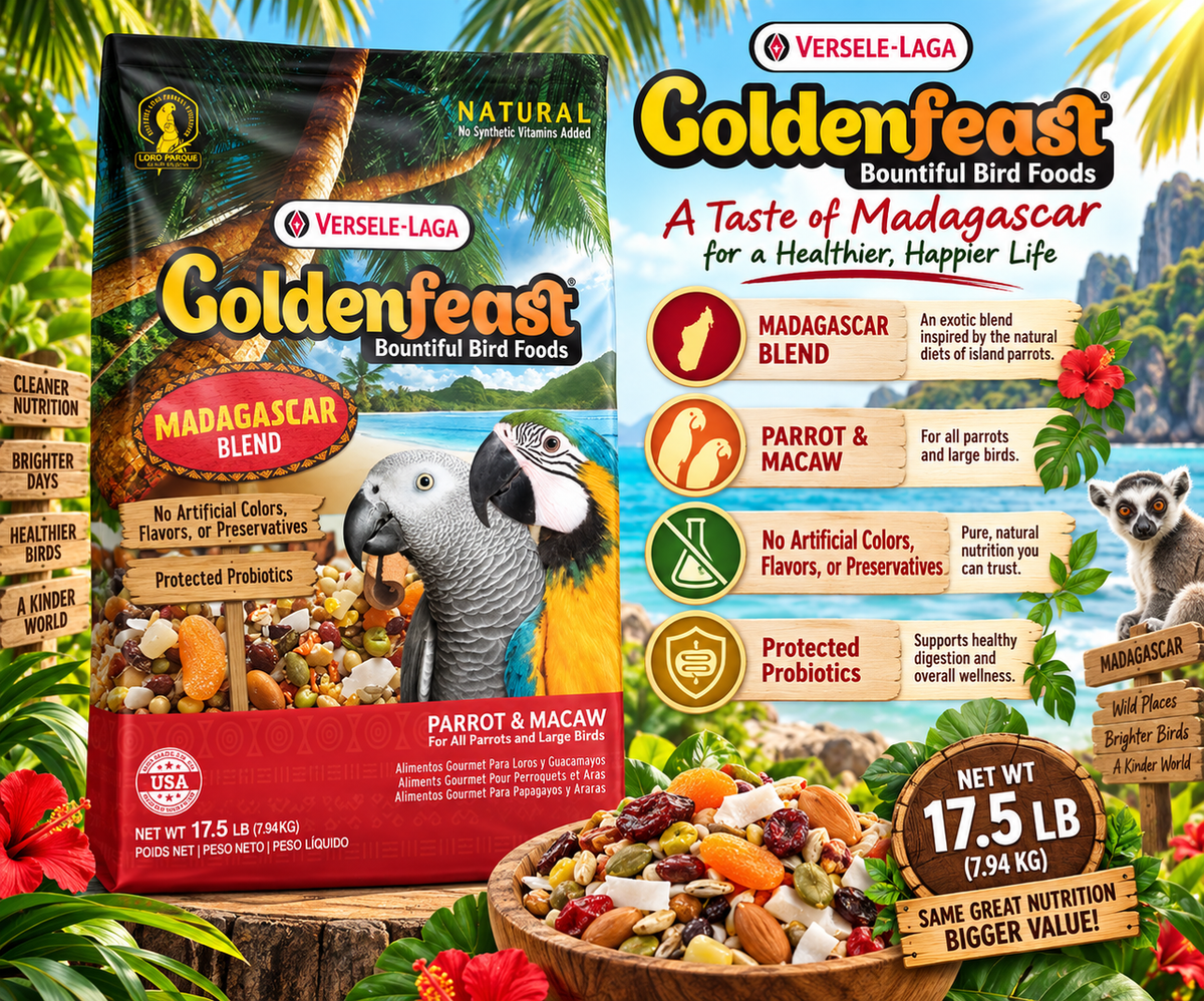 Goldenfeast Madagascar Blend Natural Parrot Food with papaya, cashews, almonds, walnuts, roasted soybeans, cranberries, oats, pumpkin seeds, coconut, raisins, bananas, apricots, cherries, mango, pineapple, beets, Ceylon cinnamon, sweet potatoes, Brazil nuts, sweet peppers, hazelnuts, apples, and protected probiotics for parrots, macaws, cockatoos, and large birds. 17.5 lb bag Promotional Image