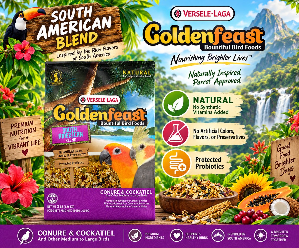 Goldenfeast South American Blend Natural Bird Food with white millet, oats, cashews, safflower, roasted soybeans, almonds, buckwheat, sunflower seeds, walnuts, green peas, pistachios, papaya, peanuts, pineapple, pinto beans, black beans, garbanzo beans, dates, raisins, carrots, pumpkin seeds, sweet peppers, star anise, lemon peel, and protected probiotics for conures, cockatiels, lovebirds, and medium to large birds. 3 lb bag Promotional Image