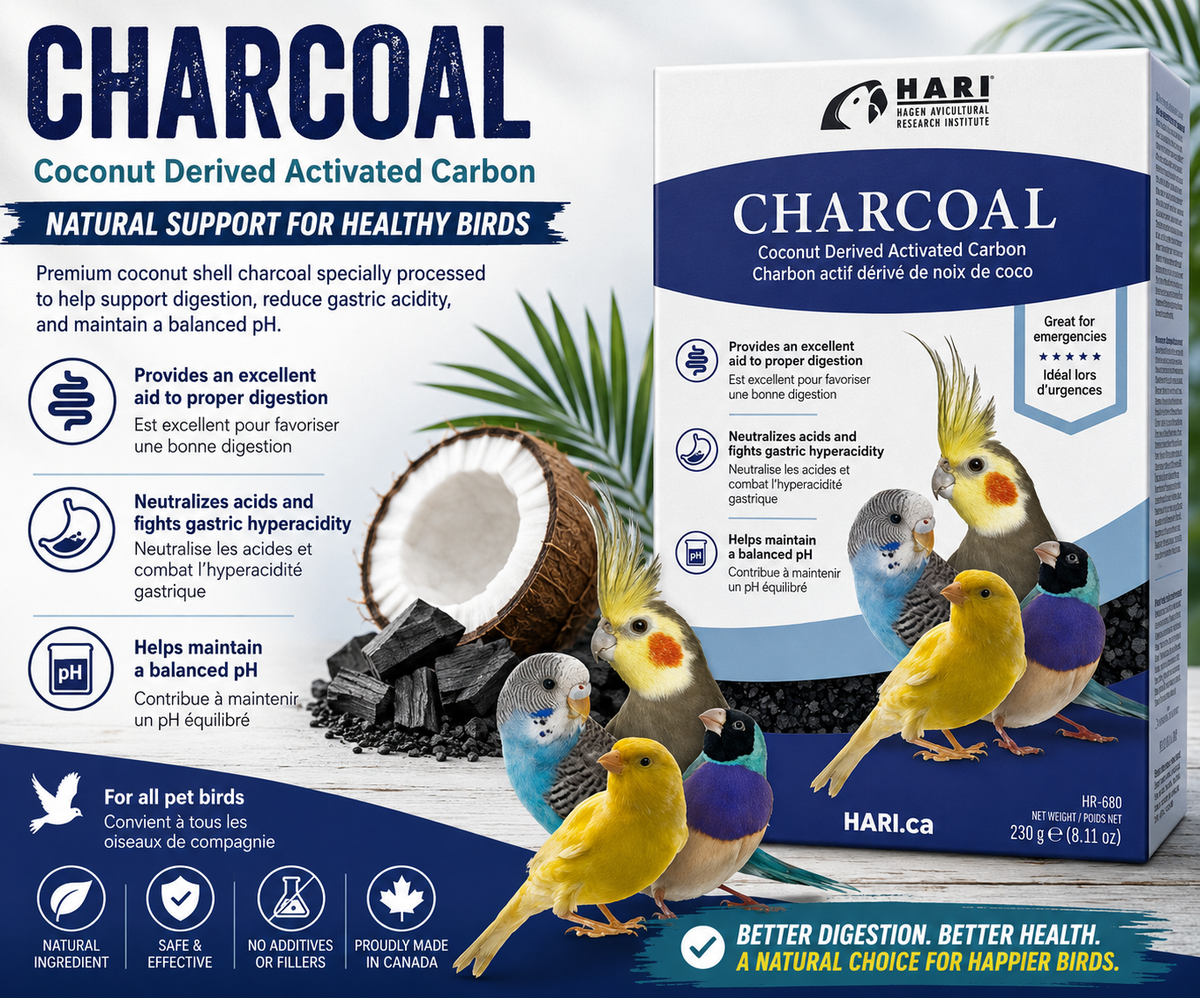 Hagen Hari Bird Charcoal 8.11 Oz coconut derived activated charcoal supplement for all pet birds, designed to aid proper digestion and help maintain balanced pH. Promotional Image