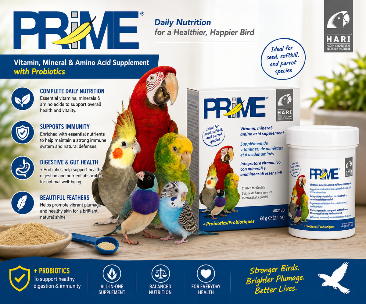 Hagen Prime Powdered Bird Vitamin Supplement with 14 vitamins, 9 minerals, amino acids, enzymes, acidifiers, and micro-encapsulated beneficial bacteria for companion birds. Promotional Image