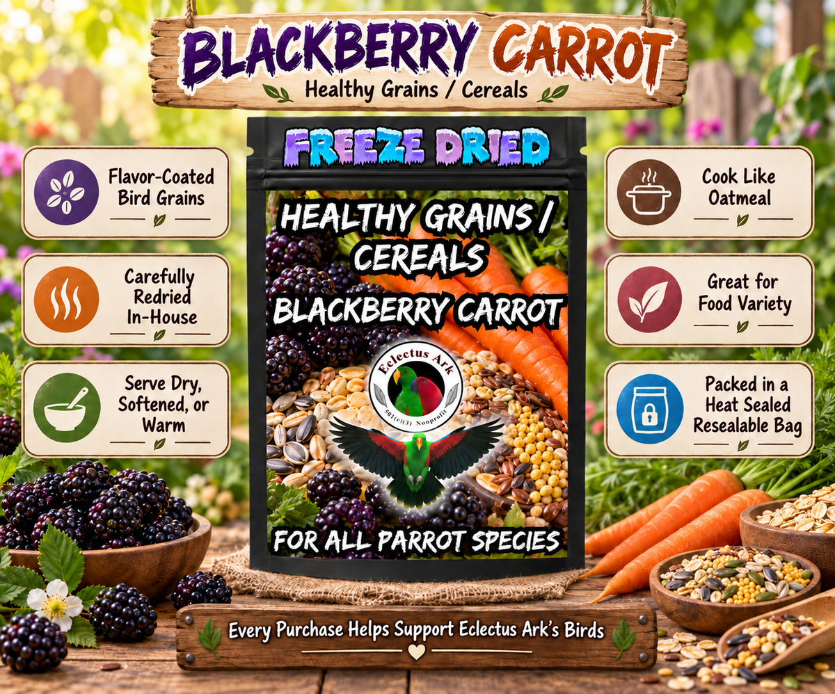 Healthy Grains Choose Your Flavor bird food made with flavor-coated grains in a 6.3 x 9.4 inch heat sealed resealable bag, served dry, rinsed soft, or cooked warm like oatmeal for parrots and other pet birds. BlackBerry Carrot Promotional Image 