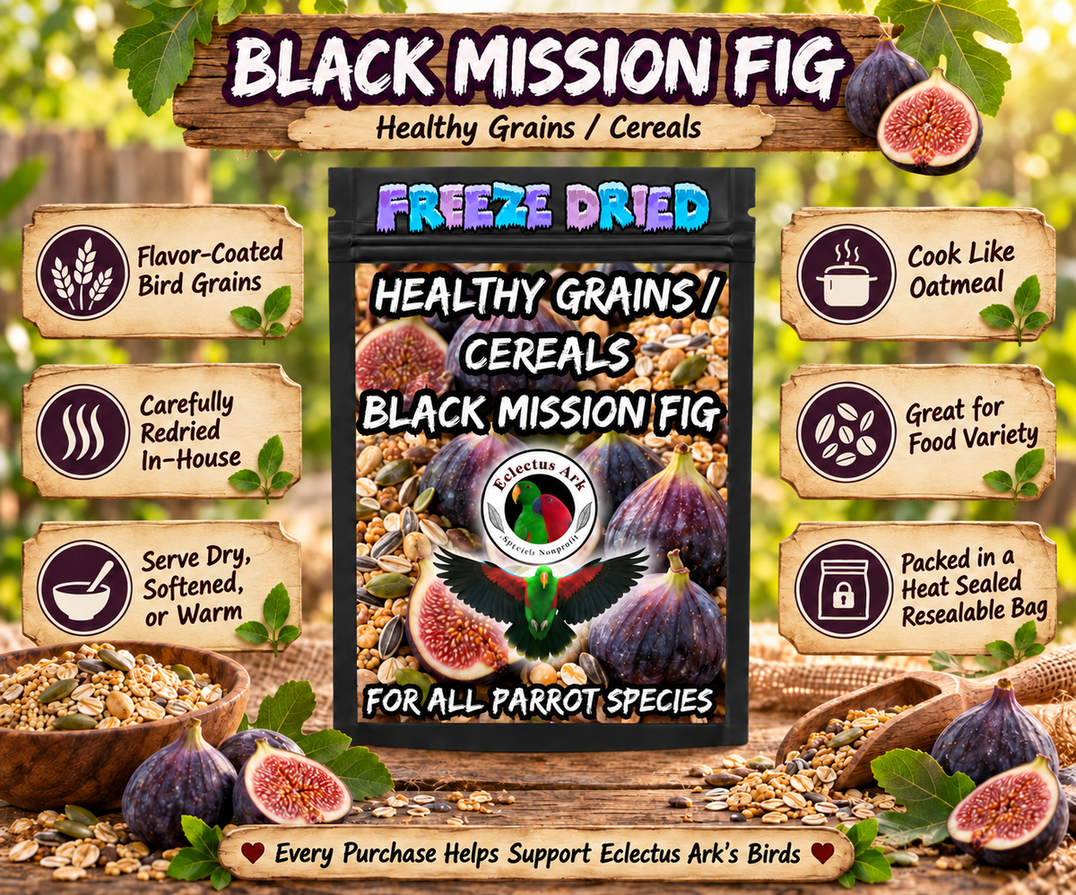 Healthy Grains Choose Your Flavor bird food made with flavor-coated grains in a 6.3 x 9.4 inch heat sealed resealable bag, served dry, rinsed soft, or cooked warm like oatmeal for parrots and other pet birds. Black Mission Fig Product Promotional Image