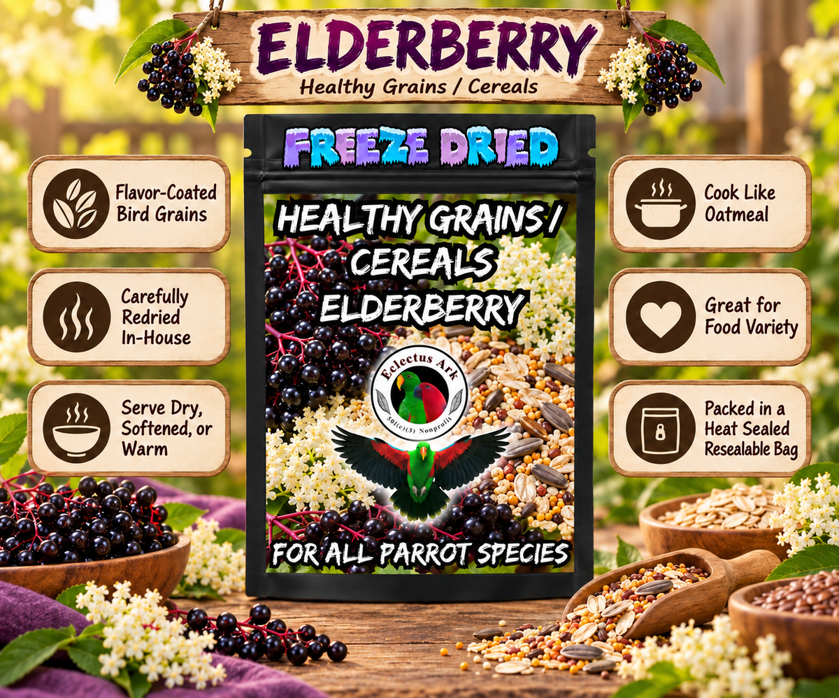 Healthy Grains Choose Your Flavor bird food made with flavor-coated grains in a 6.3 x 9.4 inch heat sealed resealable bag, served dry, rinsed soft, or cooked warm like oatmeal for parrots and other pet birds. Elderberry Product Promotional Image
