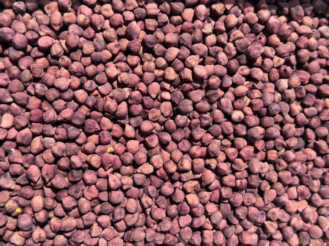 Soak & Serve - Elderberry Infused Chick Peas