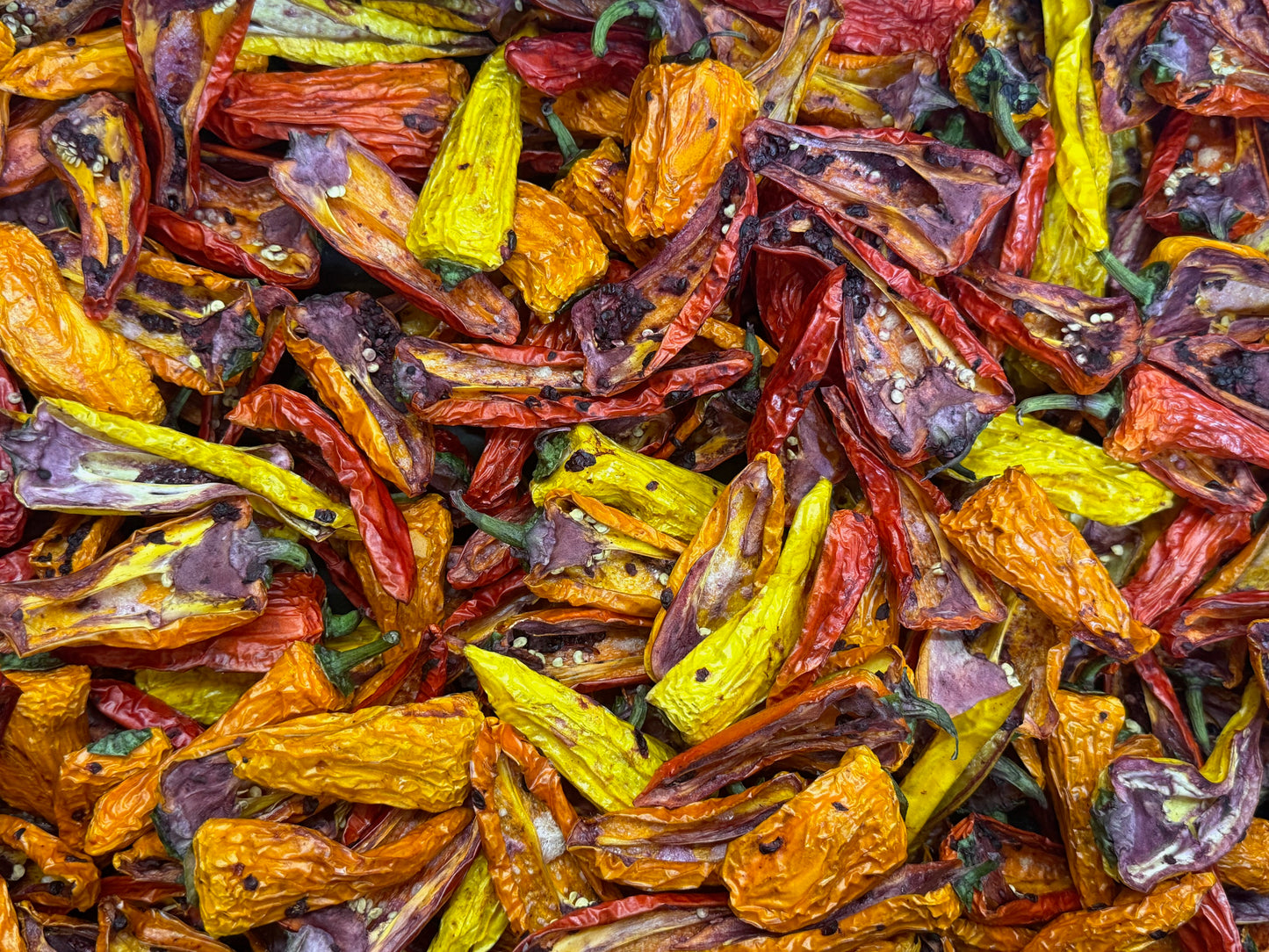 Freeze Dried Sweet Pepper Halves - Pick Your Flavor(s)