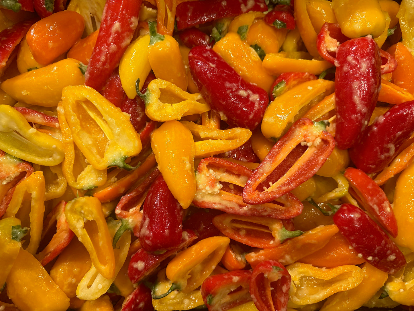 Freeze Dried Sweet Pepper Halves - Pick Your Flavor(s)