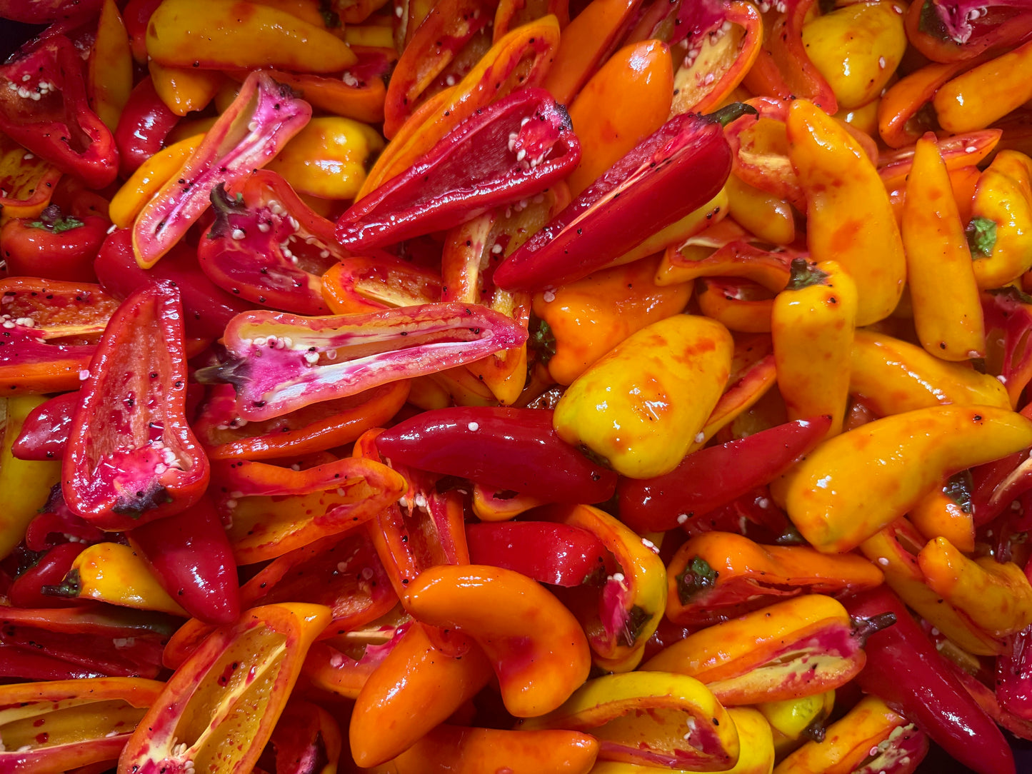Freeze Dried Sweet Pepper Halves - Pick Your Flavor(s)
