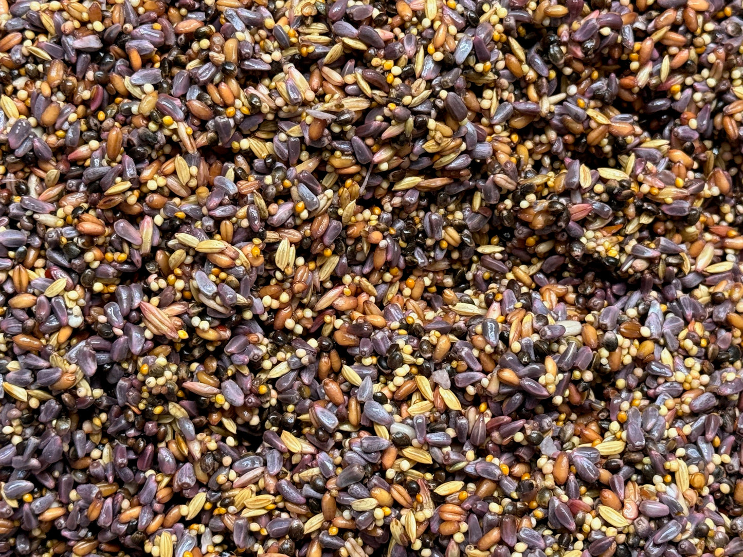 Infused Seeds - No Sunflower - Pick Your Flavor