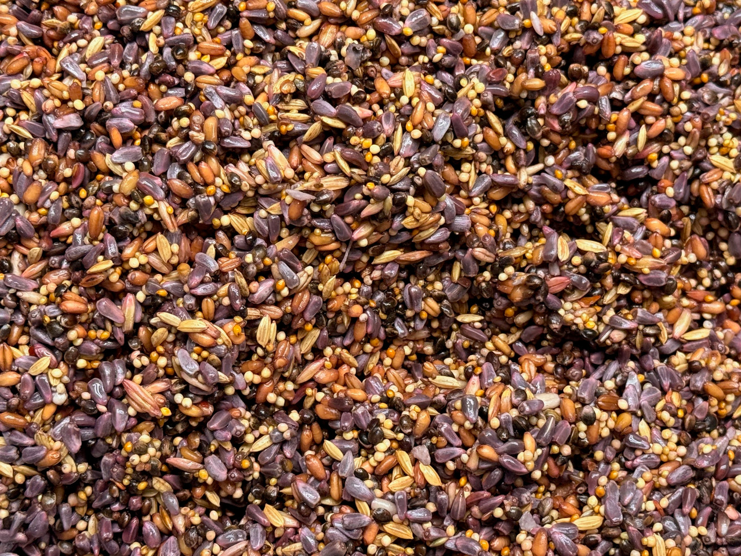 Infused Seeds - No Sunflower - Pick Your Flavor