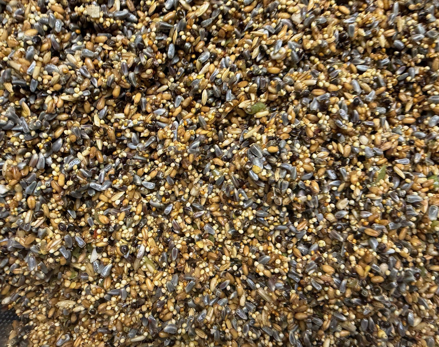 Infused Seeds - No Sunflower - Pick Your Flavor