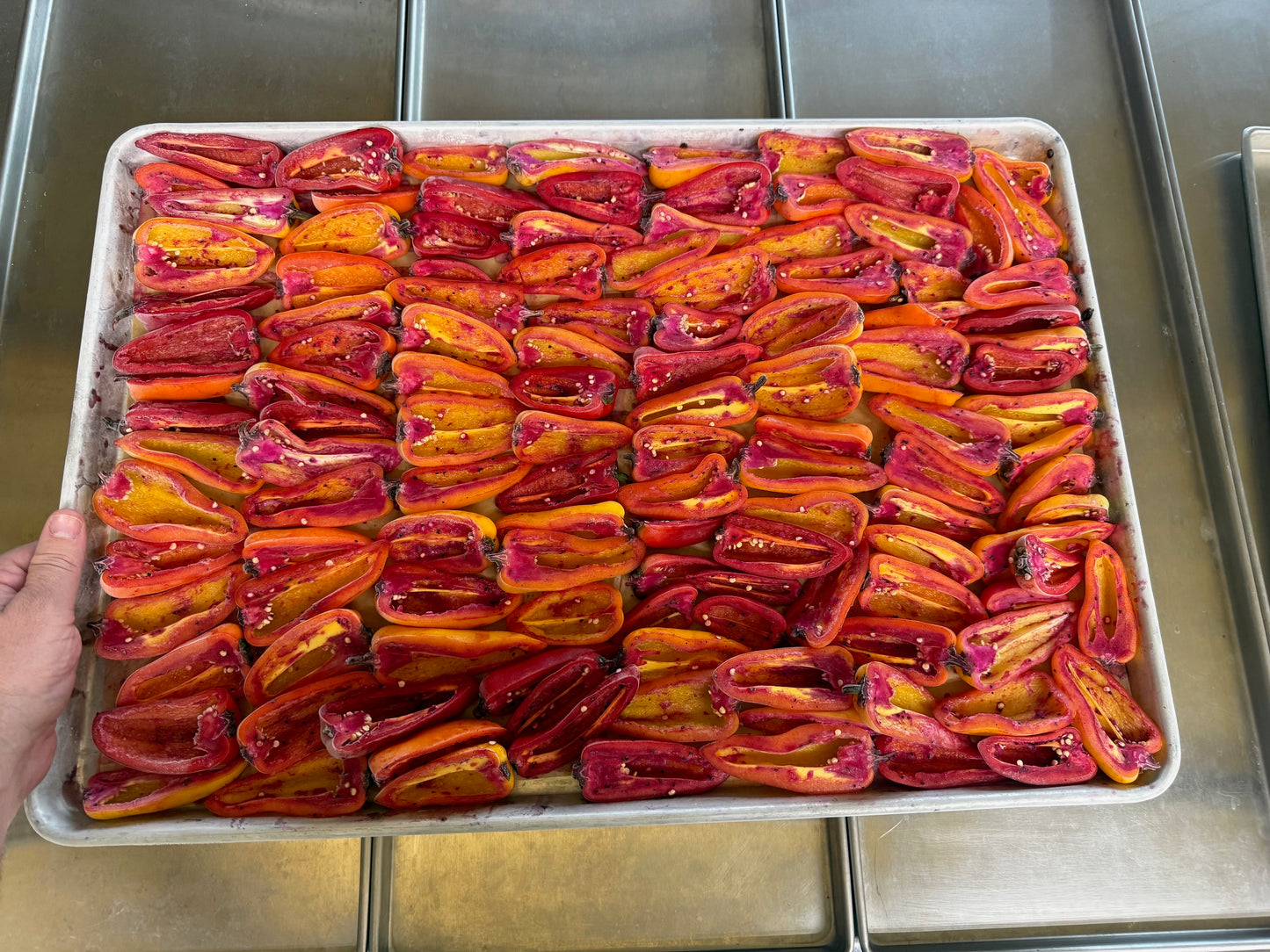 Freeze Dried Sweet Pepper Halves - Pick Your Flavor(s)