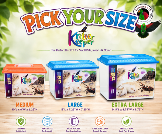 Kritter Keeper® ventilated terrarium and animal keeper by Hagen with assorted color lid, self-locking top, hinged viewer feeder window, and medium, large, extra large size options.