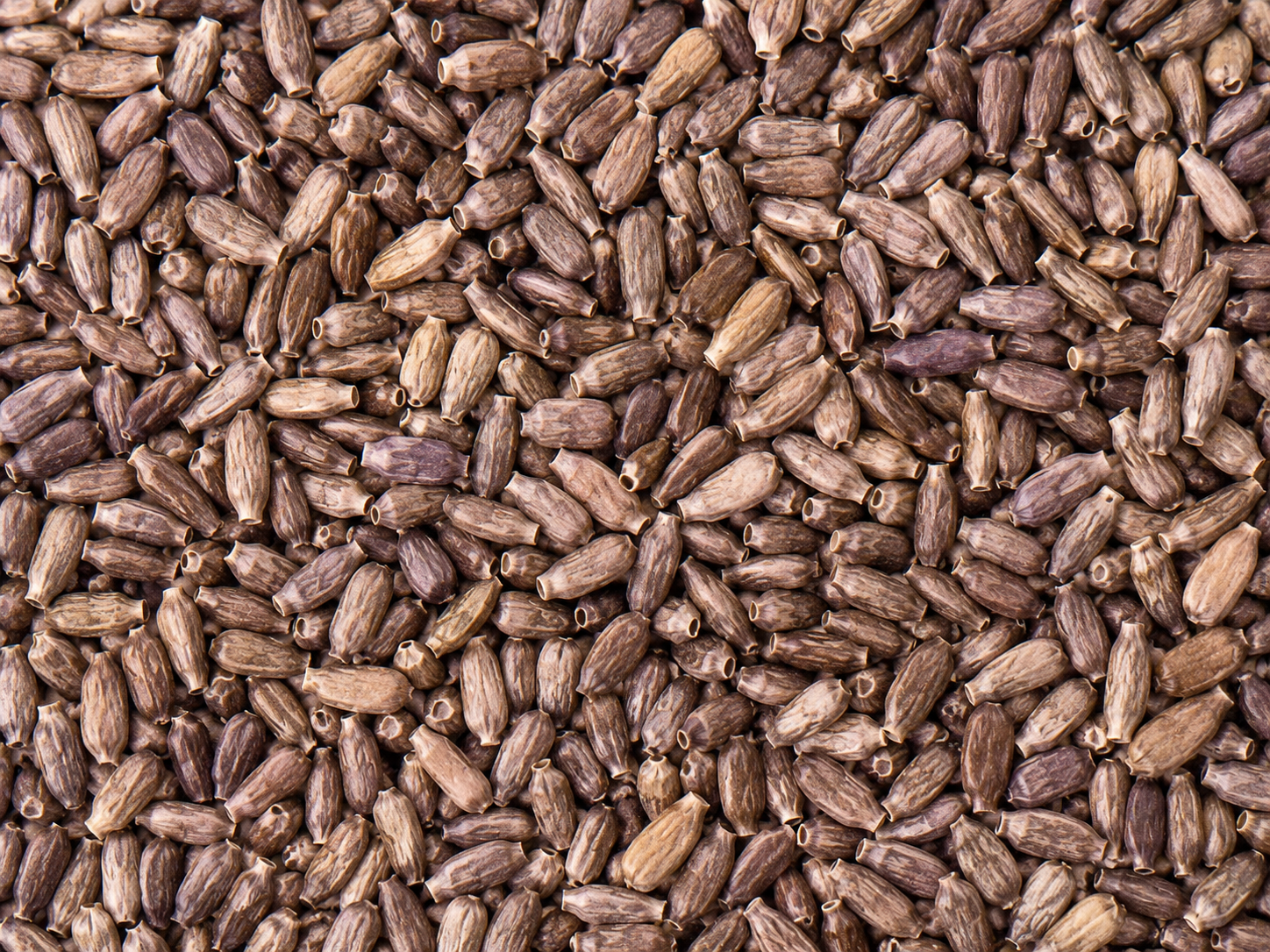Premium milk thistle seeds for parrots available in multiple flavor infused varieties for enrichment training rewards and food toppers