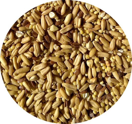 Top's 5 lb Napoleon Seed Two-Pack (includes shipping)