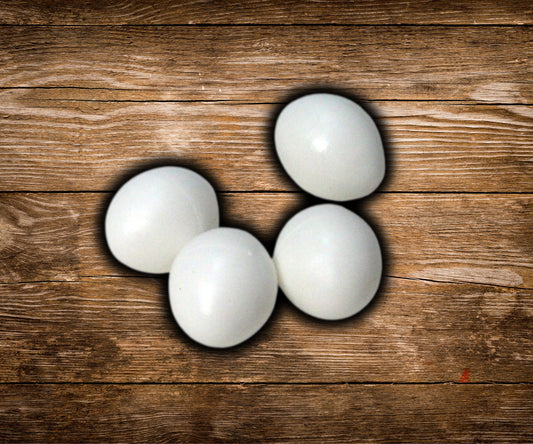 Plastic Budgie - Cockatiel Egg