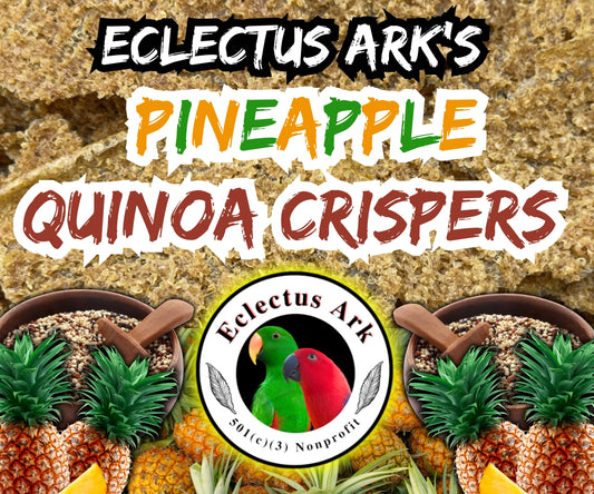 Dehydrated Quinoa Crispers - Pineapple