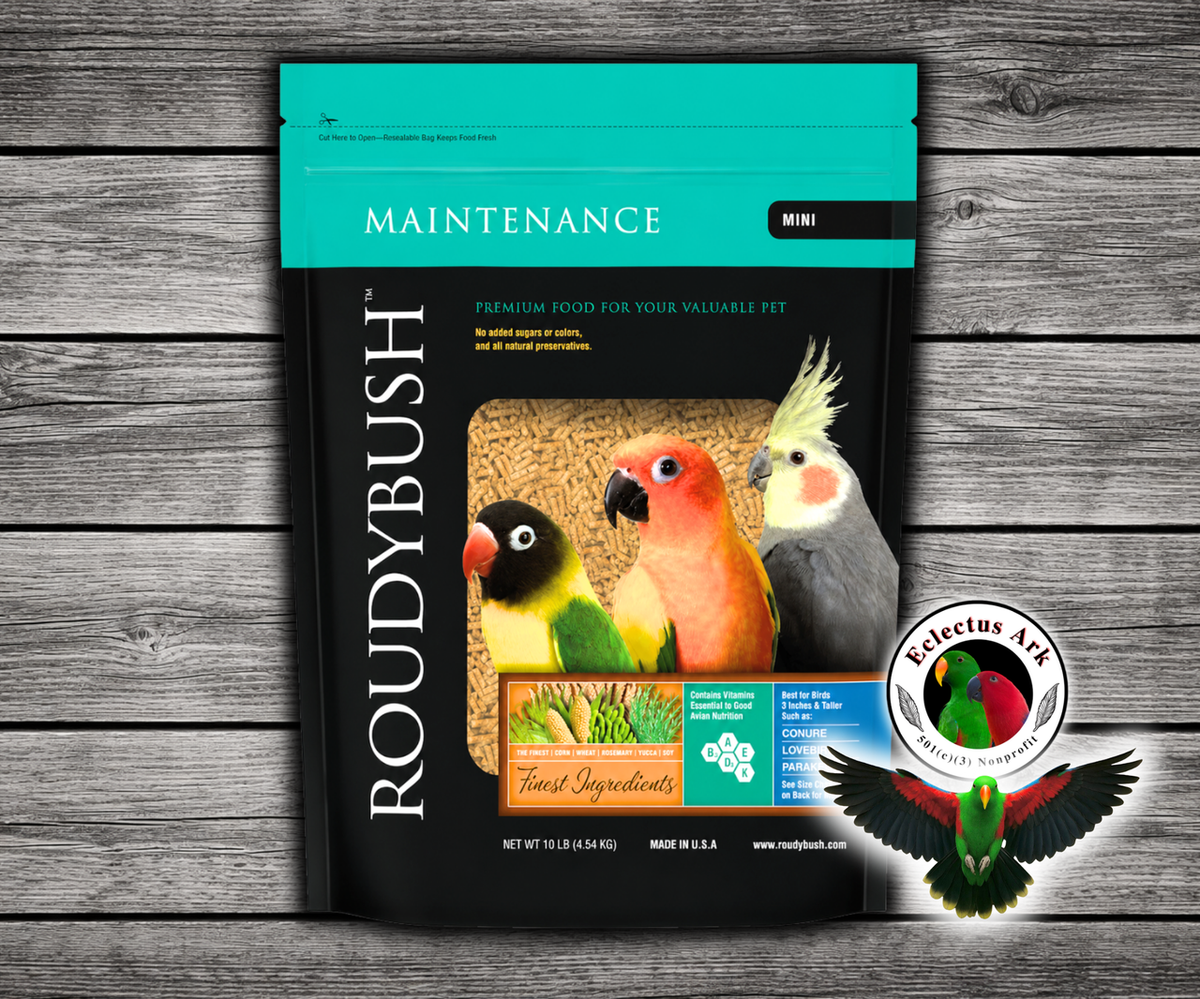 Roudybush Daily Maintenance Mini Parrot Food made with all-natural ingredients and no added food coloring or sugar for small parrots, cockatiels, and lovebirds. 10 lb bag