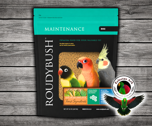 Roudybush Daily Maintenance Mini Parrot Food made with all-natural ingredients and no added food coloring or sugar for small parrots, cockatiels, and lovebirds. 22 oz bag